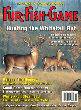 November 2007 Cover