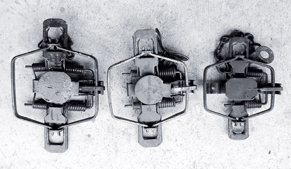 Three Coyote Traps