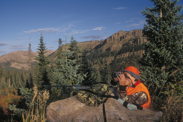 Glassing for Mule Deer