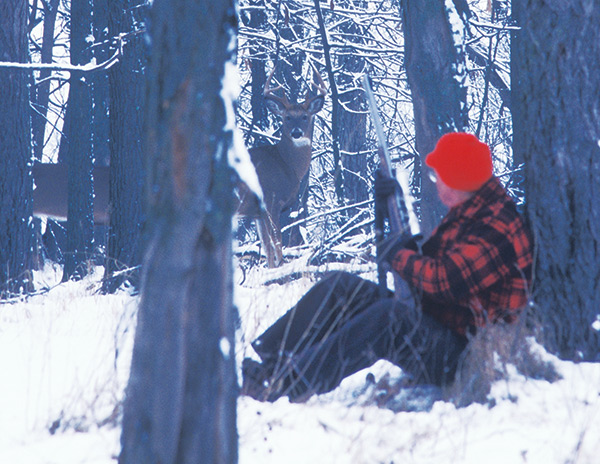 Whitetail deer and hunter