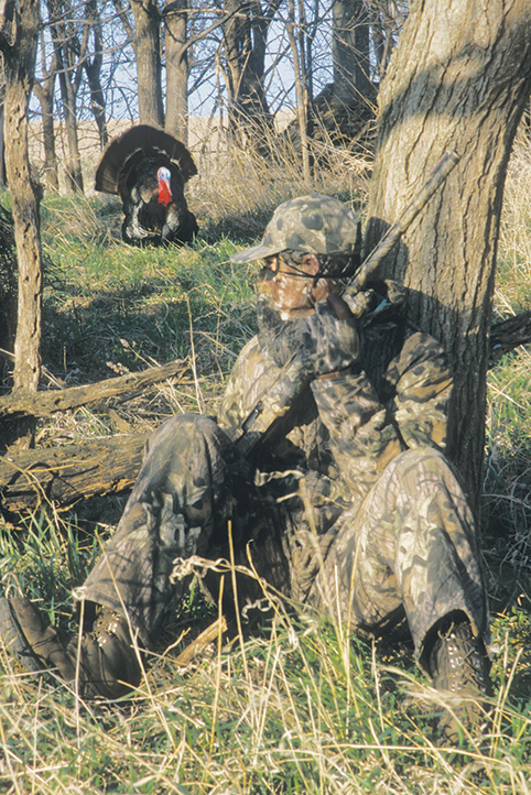 hunting turkey